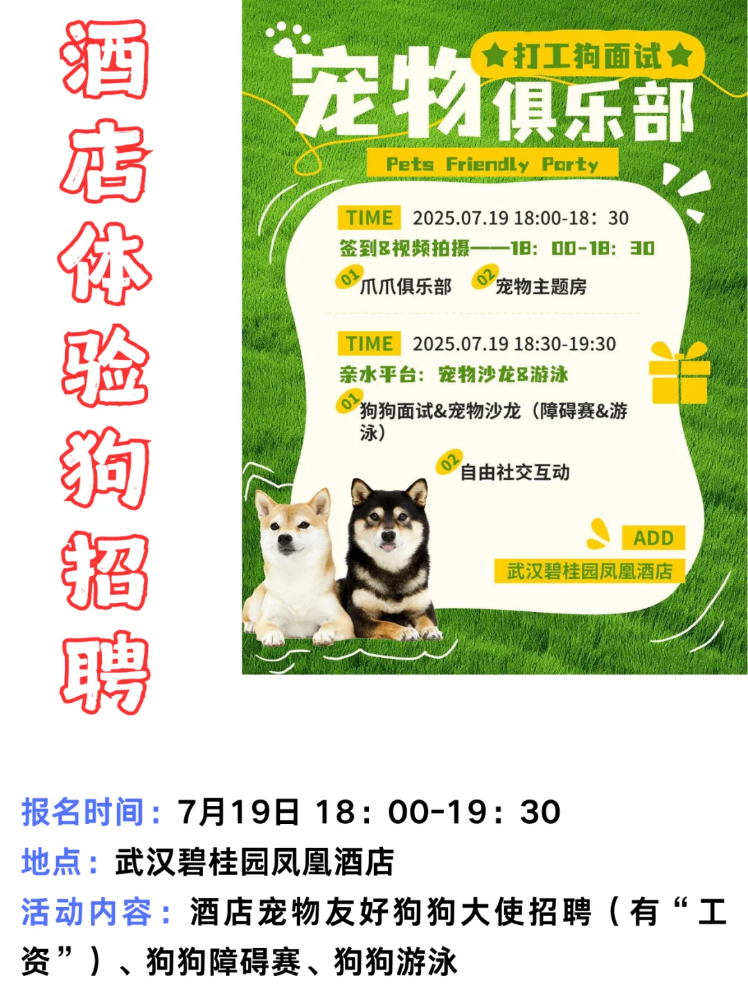 武汉7月宠物活动第三弹 | 给狗狗找个班上