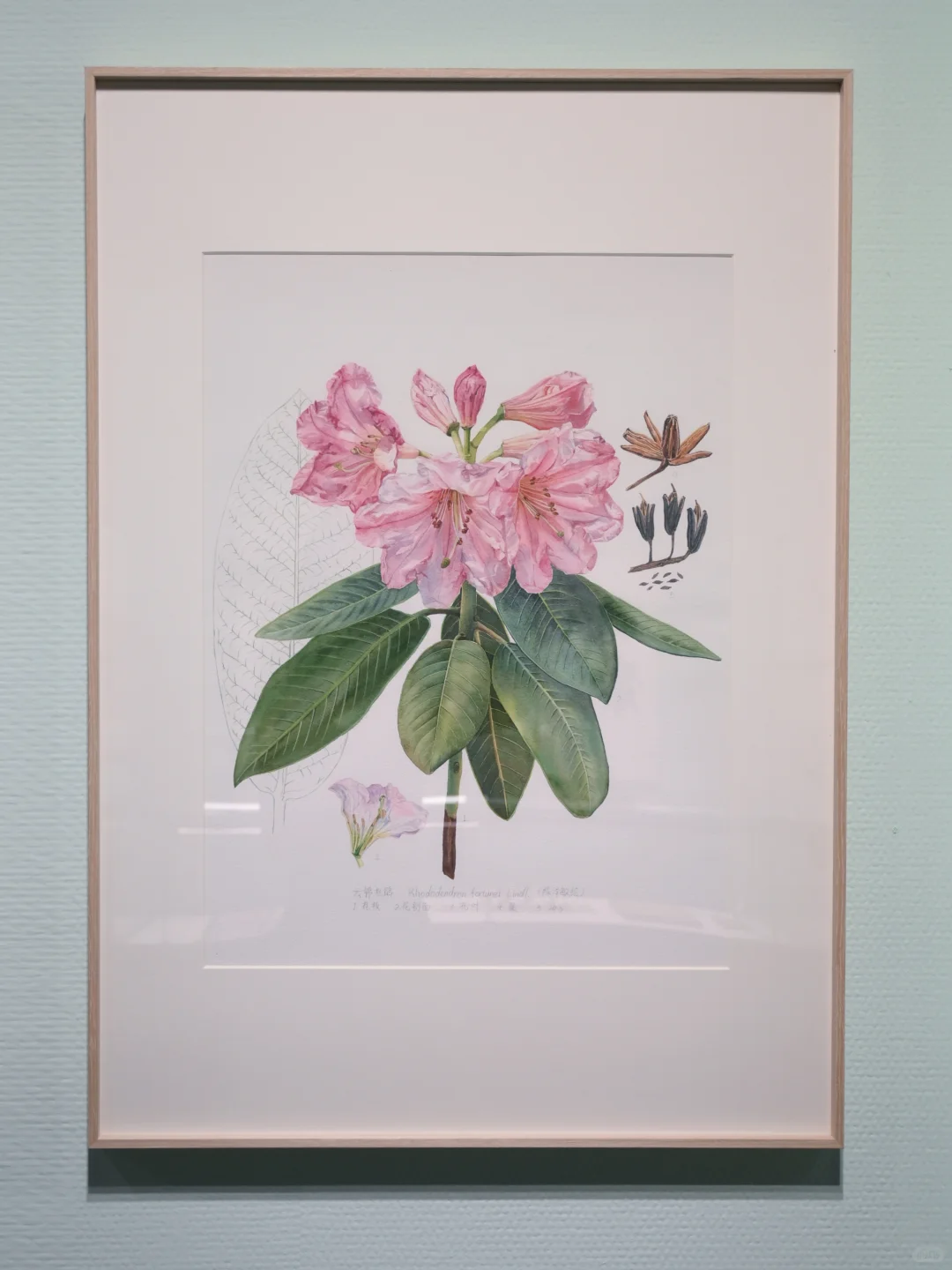 深圳免费新展｜艺术与科学的奇妙碰撞?