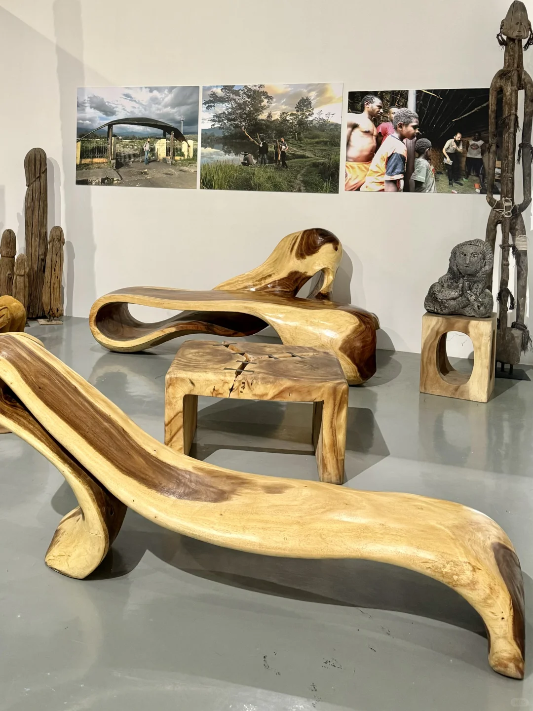 深圳看展｜感受热带雨林的神秘魅力