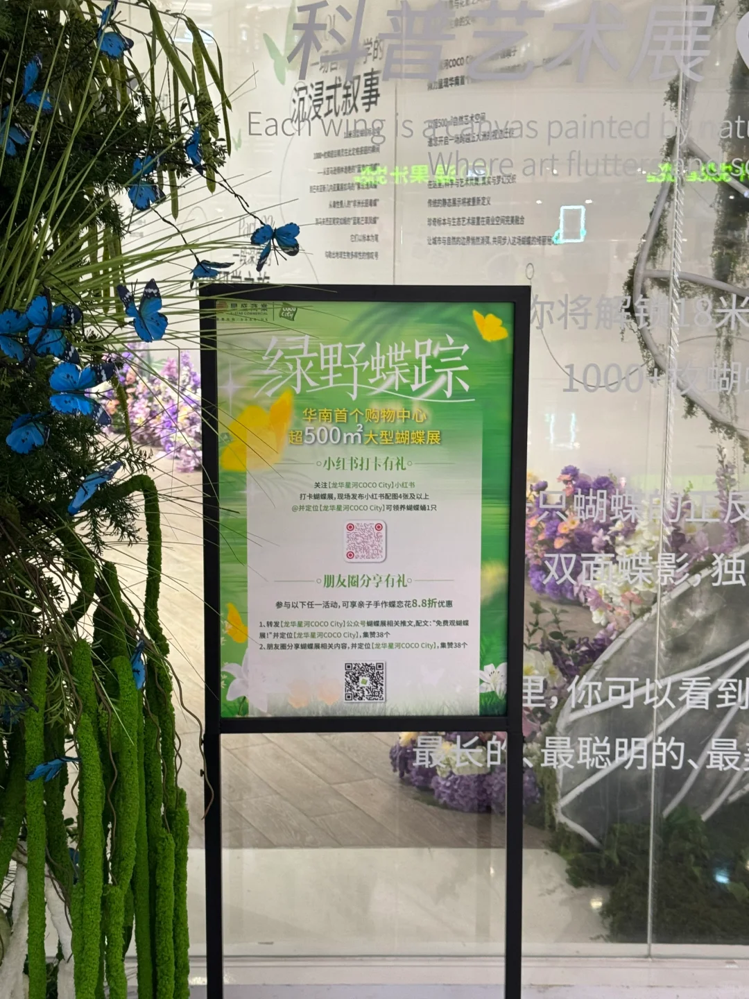 深圳免费新展❗️500平米首家大型蝴蝶展～