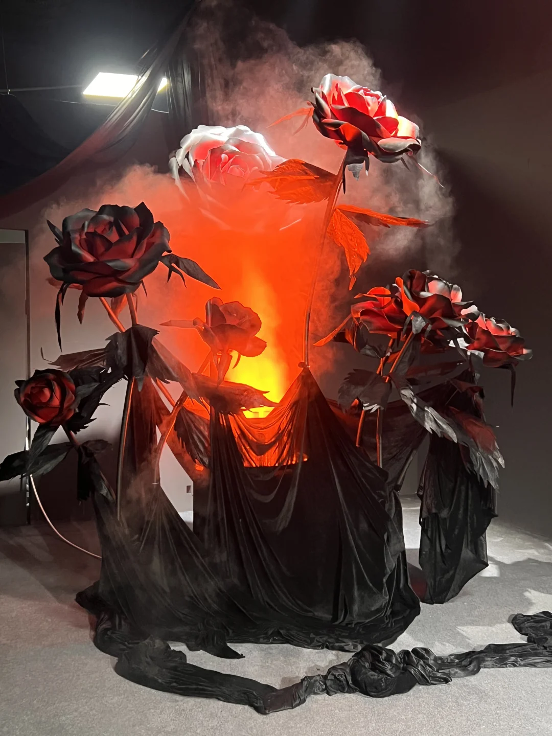 武汉新展｜《她要自己去买花》?巨新巨好拍～