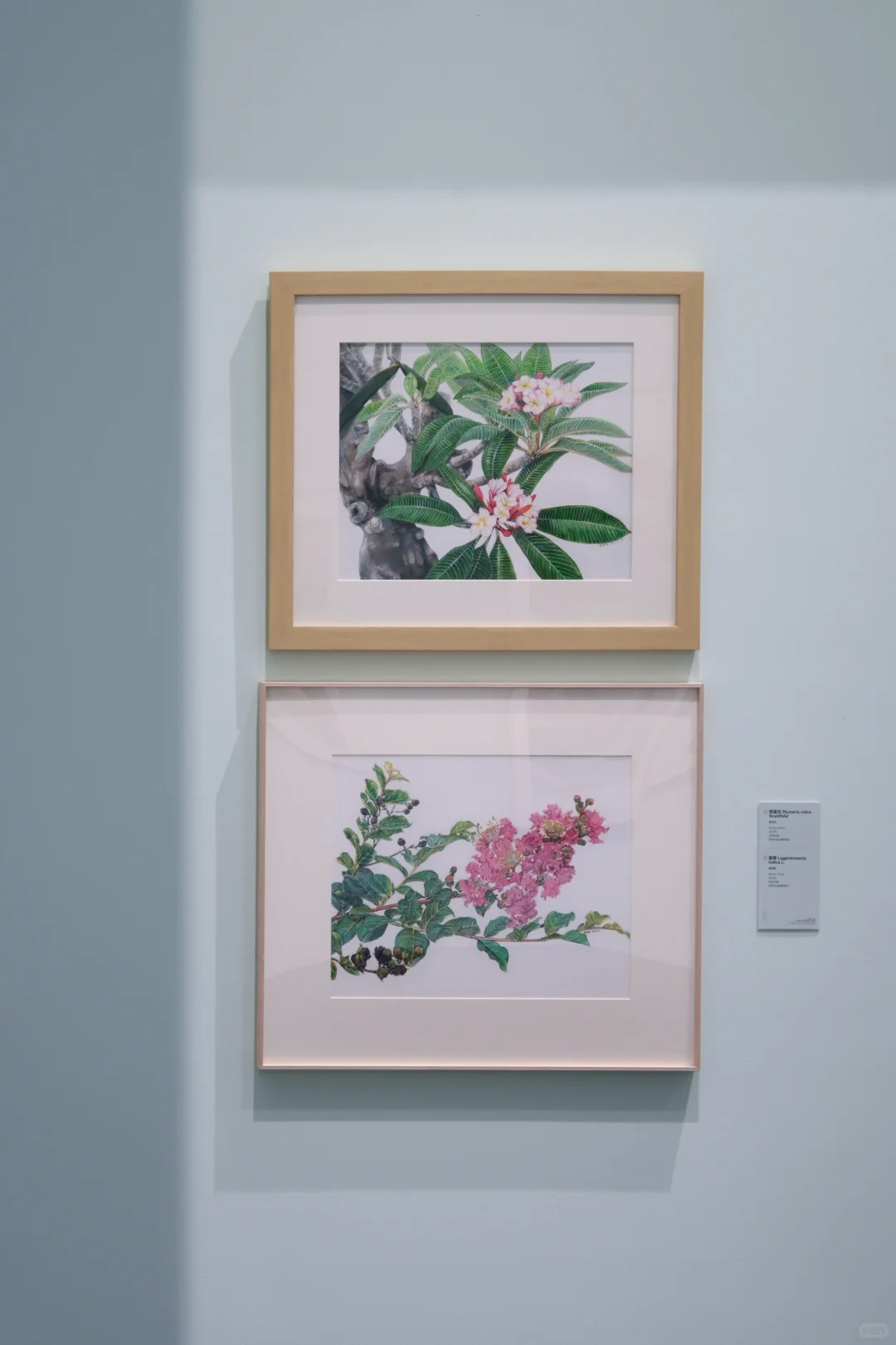 深圳免费新展｜艺术与科学的奇妙碰撞?