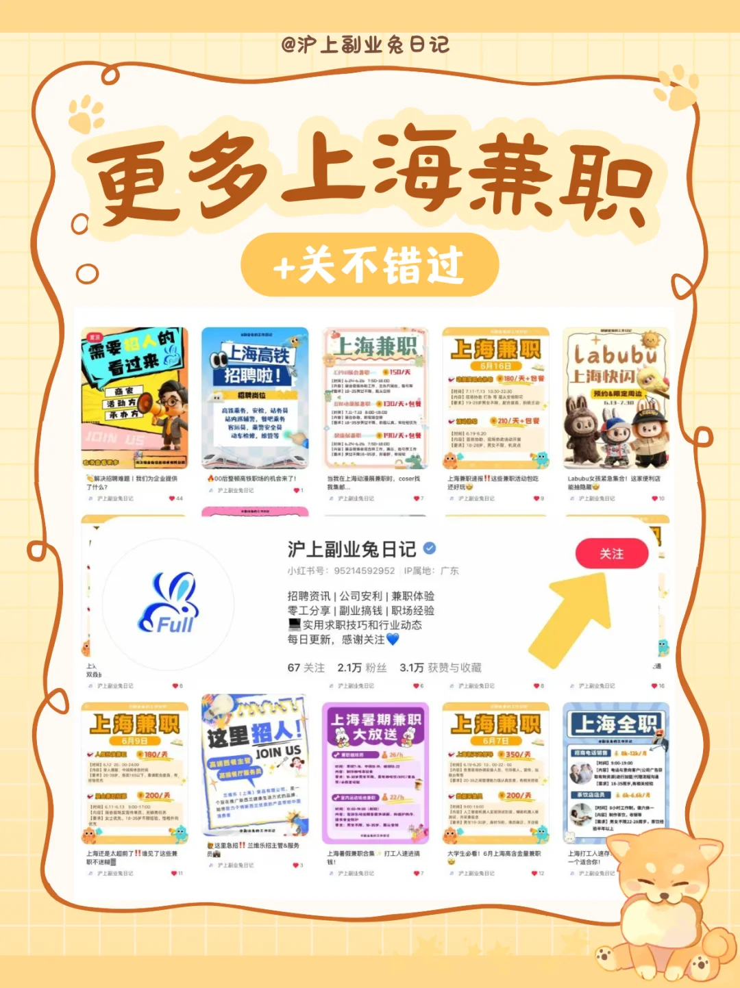 上海这些兼职给?就算了，还能涨知识⁉️