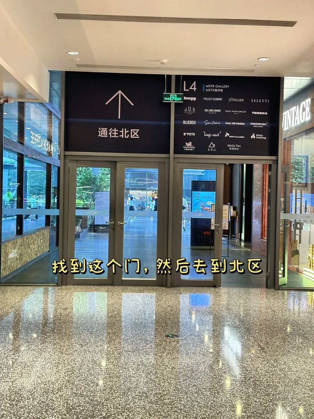 深圳巨人展｜终于轮到我来拍了❗️