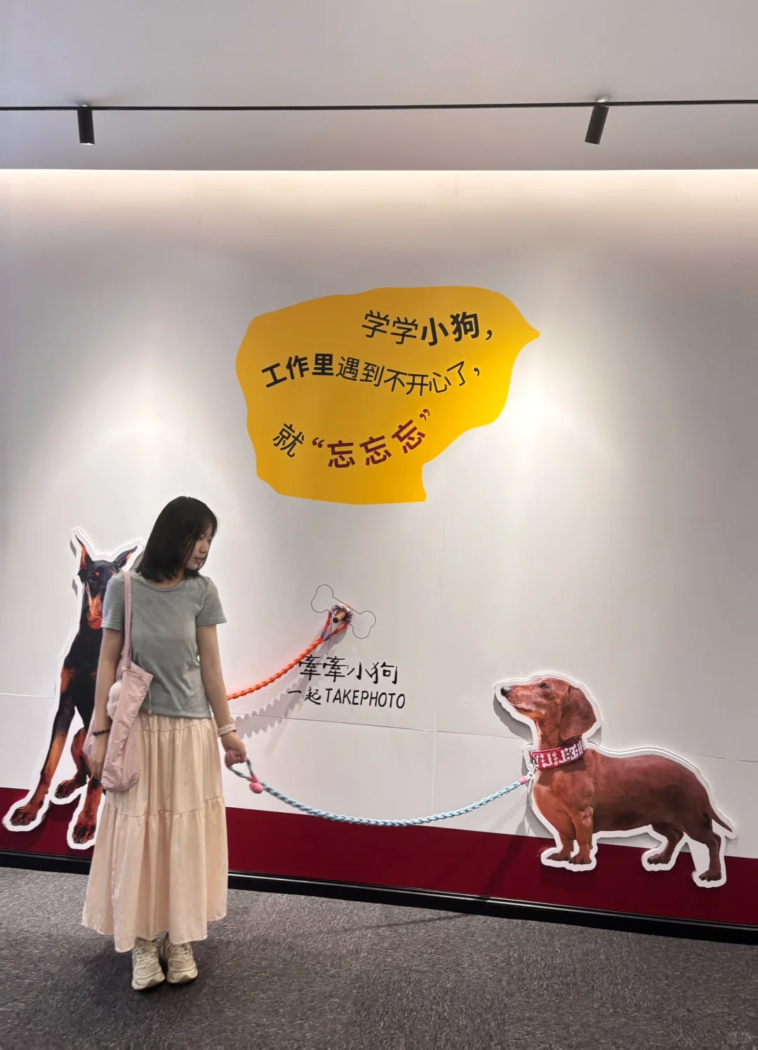深圳新展❗️免费免预约‼️闯入多巴胺的世界～