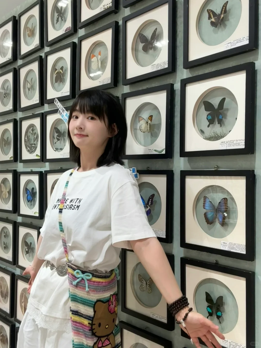 深圳免费新展❗️500平米首家大型蝴蝶展～