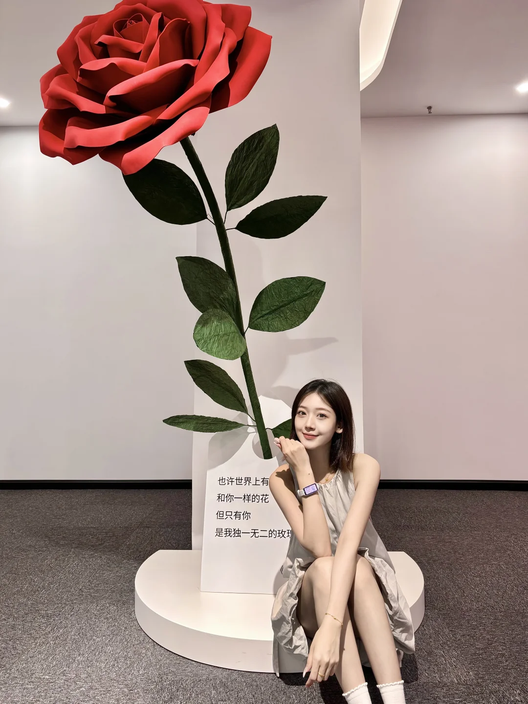 深圳可爱的新展！