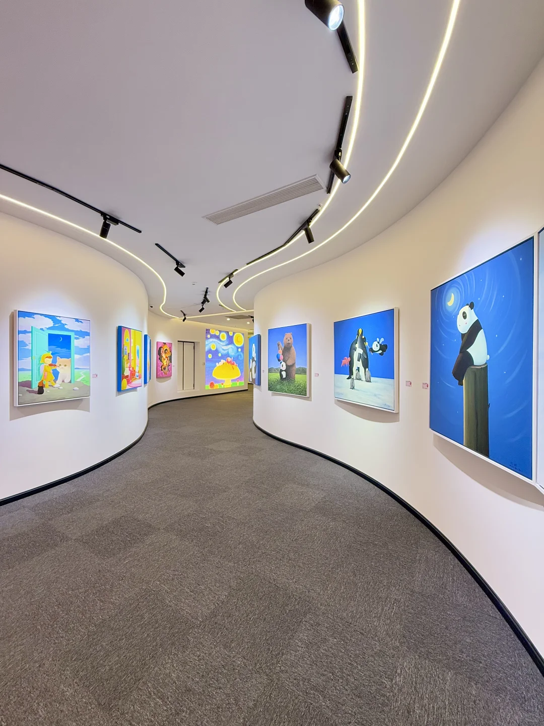 深圳免费新展?掉进彩色世界里?爆好看