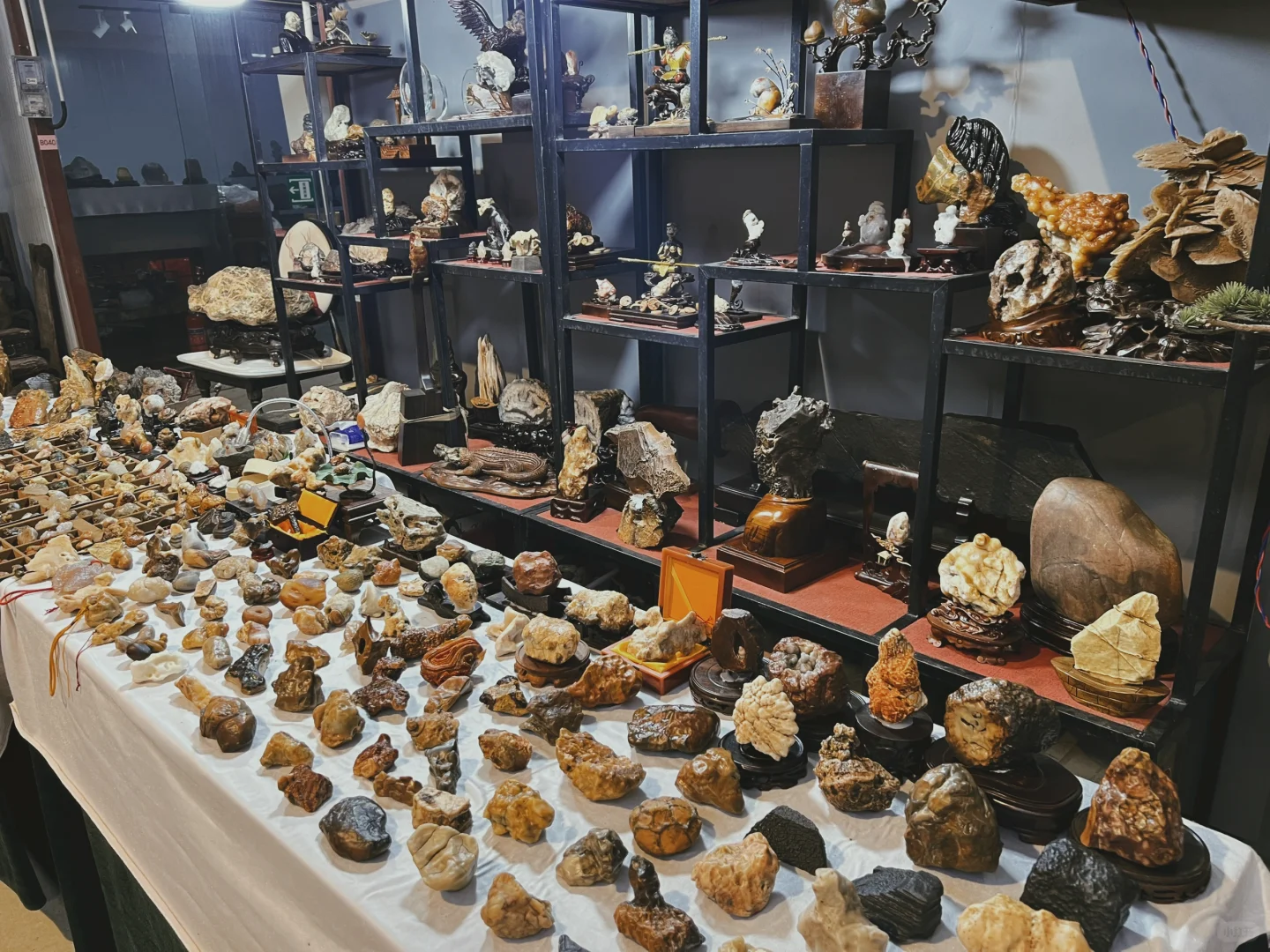 廣佛花魚之家 奇石展銷會