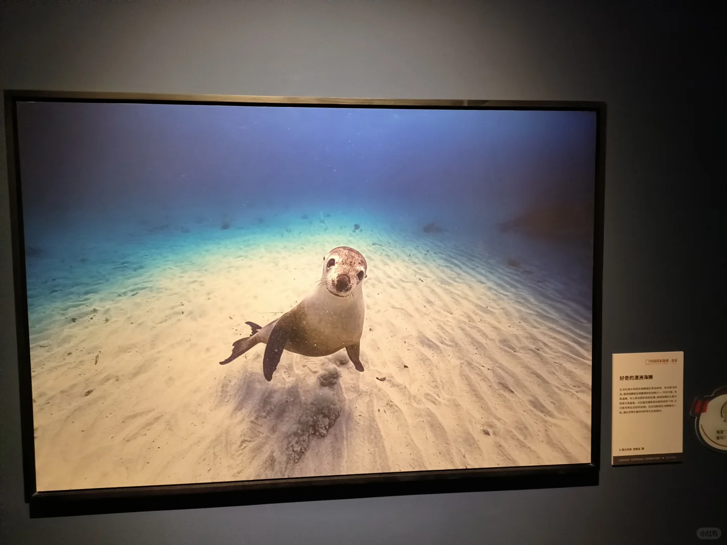 国家地理摄影展