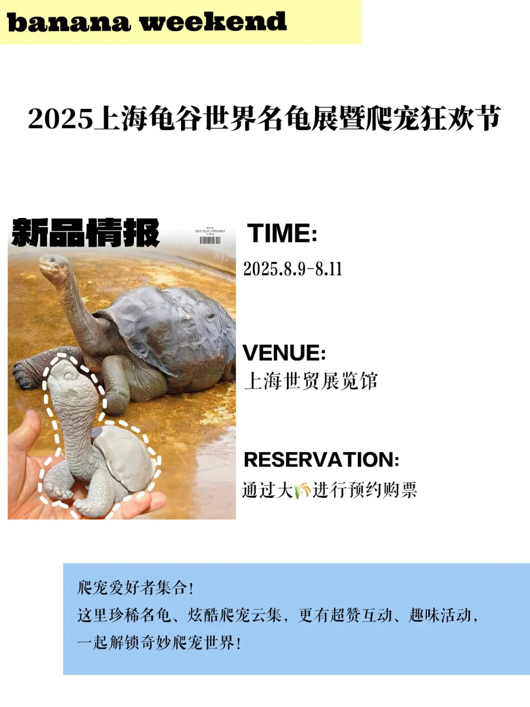 上海2025展会合集?这些展会别错过