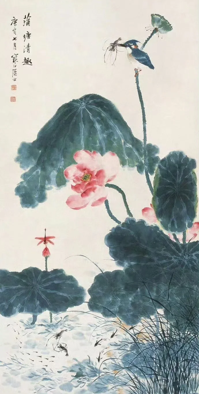 千姿百态 荷花