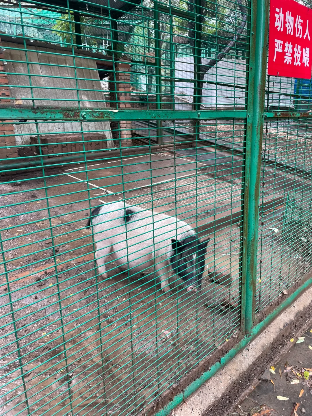 推介会面经分享2