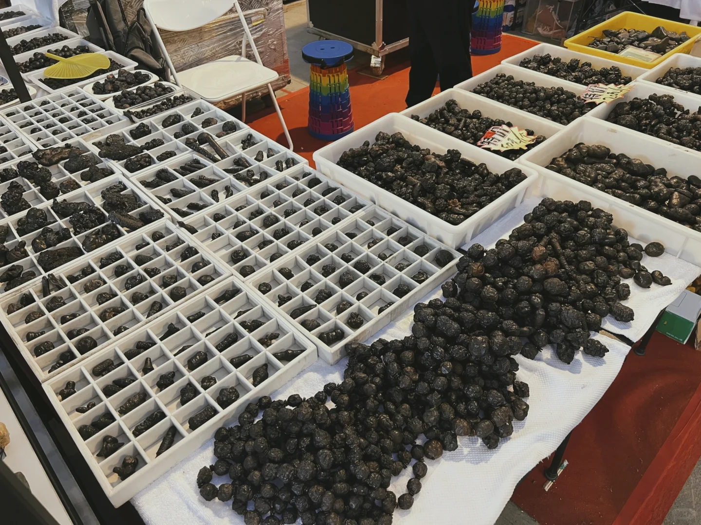 廣佛花魚之家 奇石展銷會