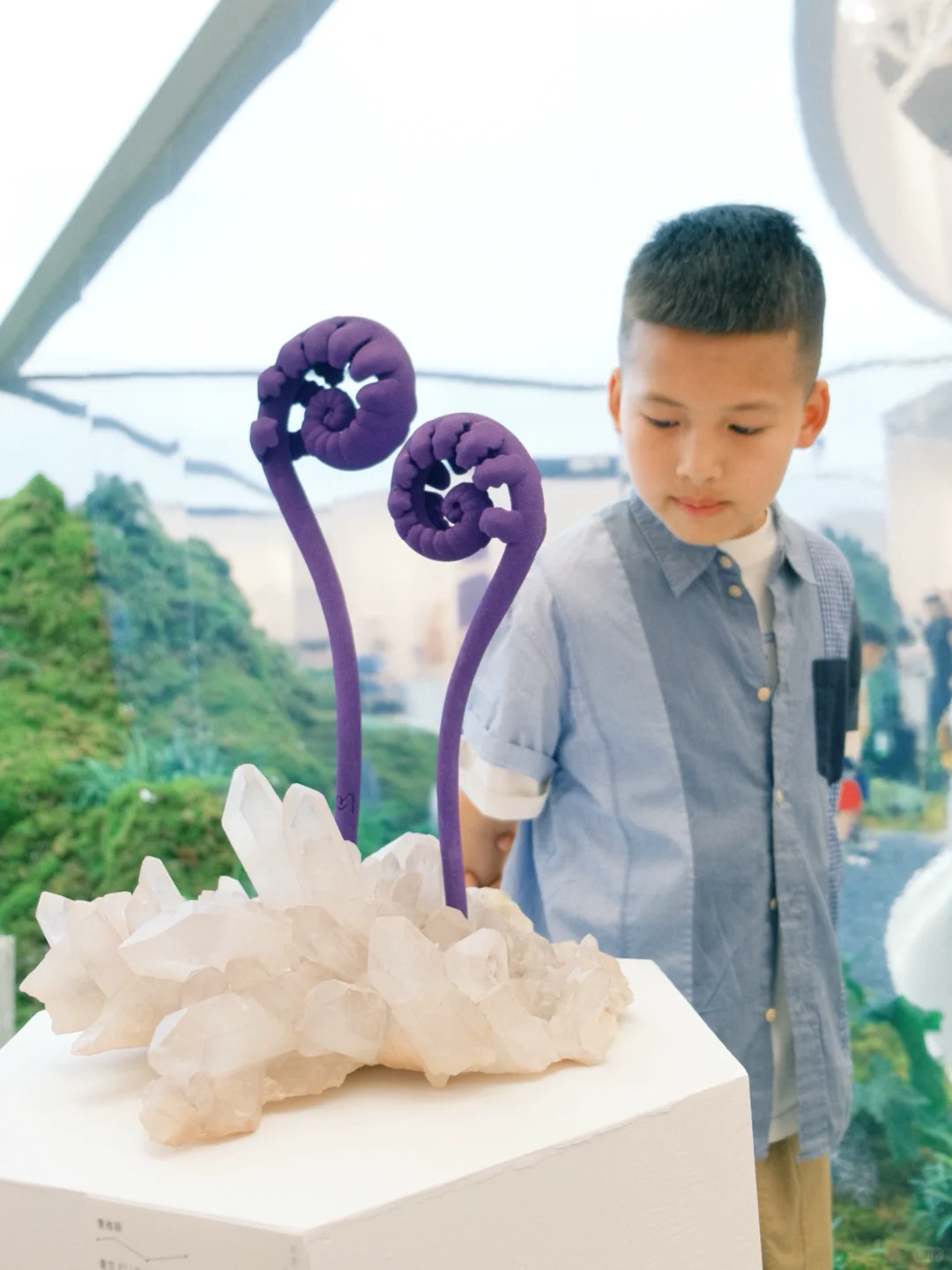 南京牛啊！这个免费展=地质课+手工课+科学课