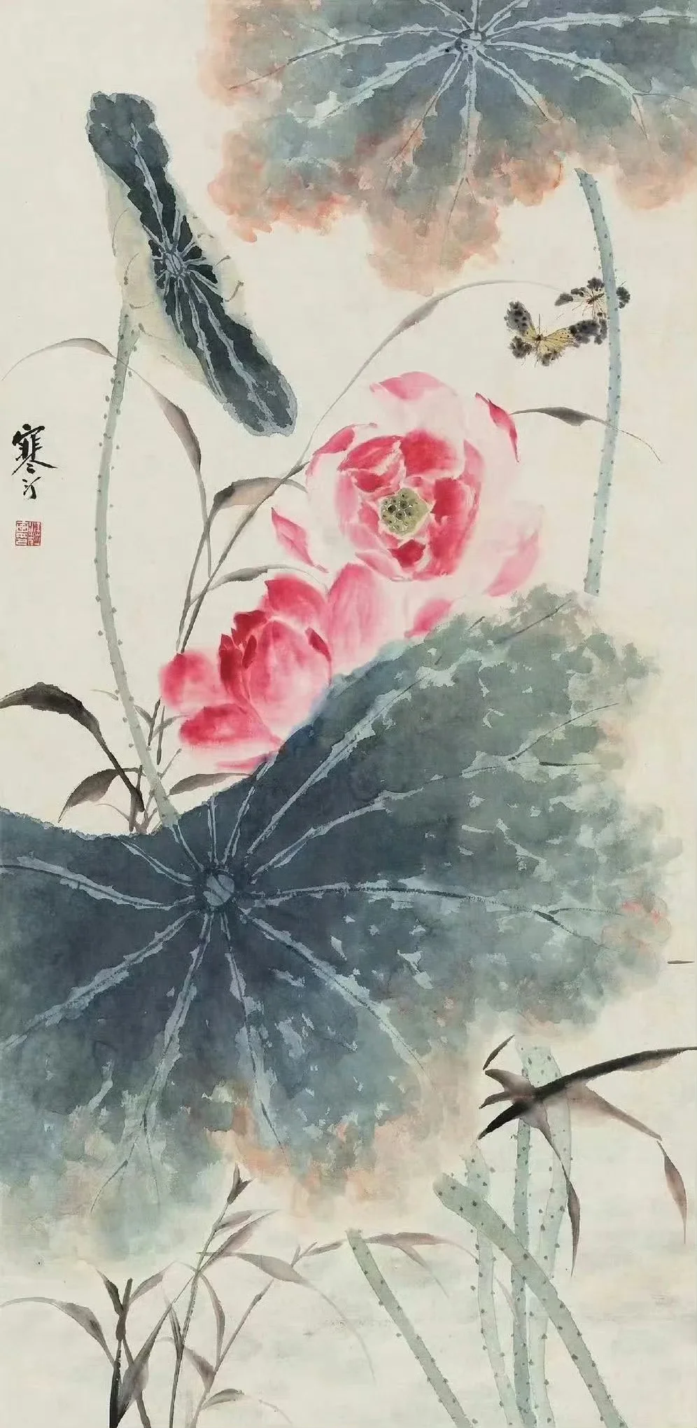 千姿百态 荷花