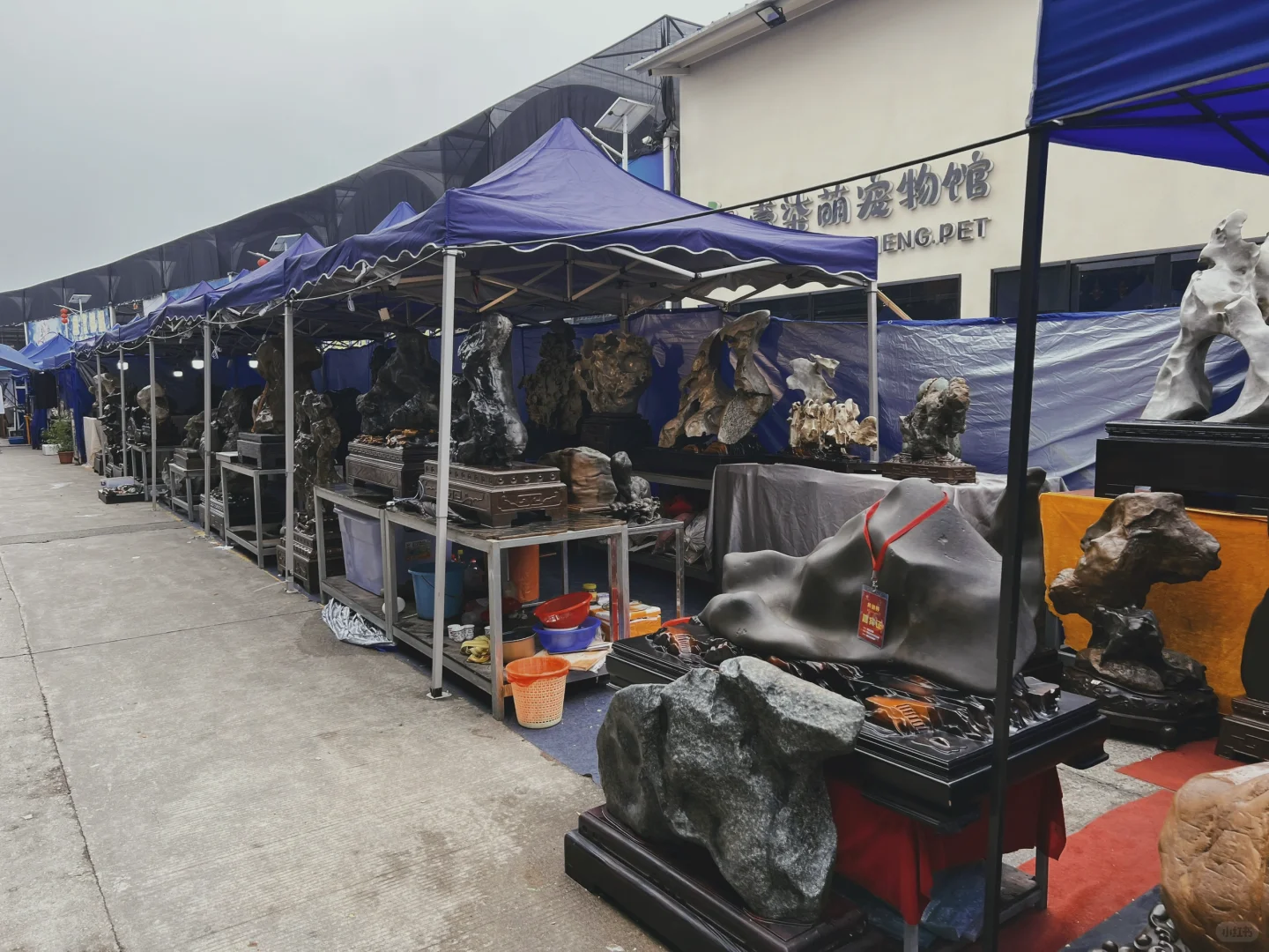 廣佛花魚之家 奇石展銷會