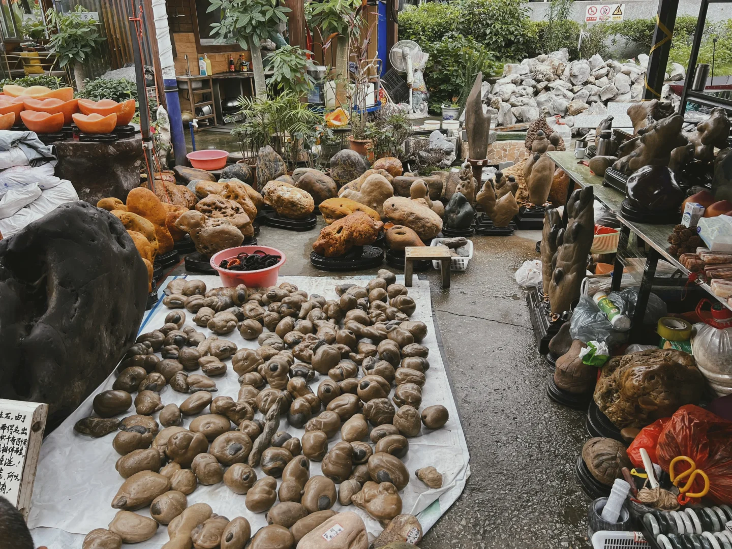 廣佛花魚之家 奇石展銷會