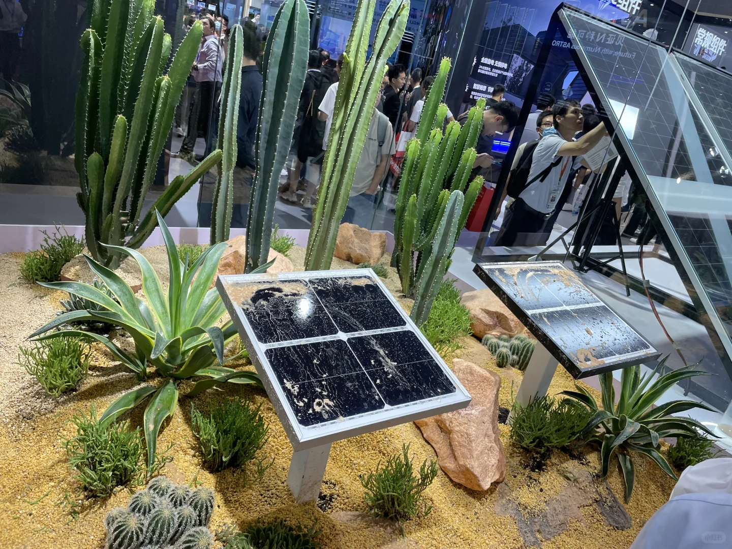 【日常】二级人参观SNEC光伏展，分享几个现象