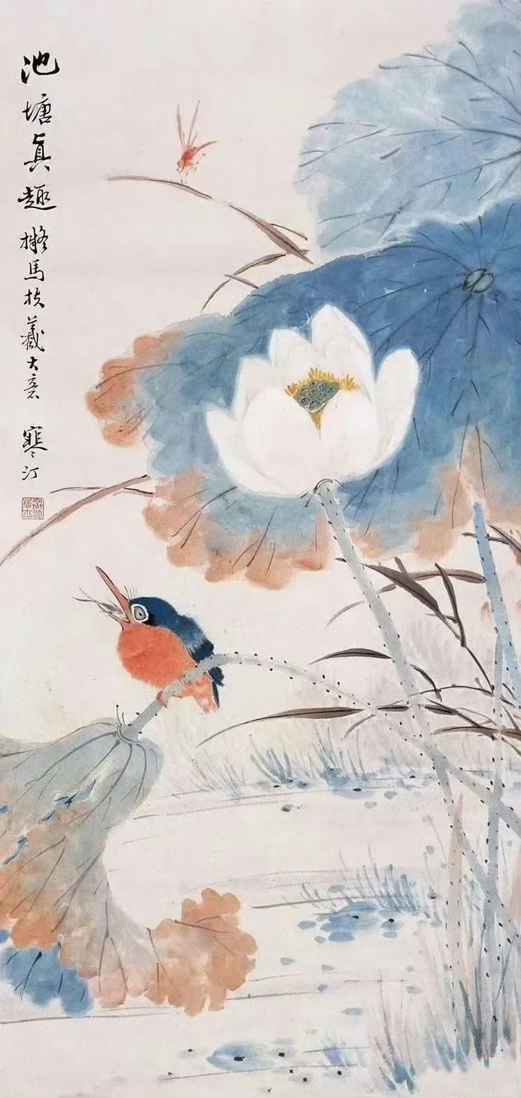 千姿百态 荷花
