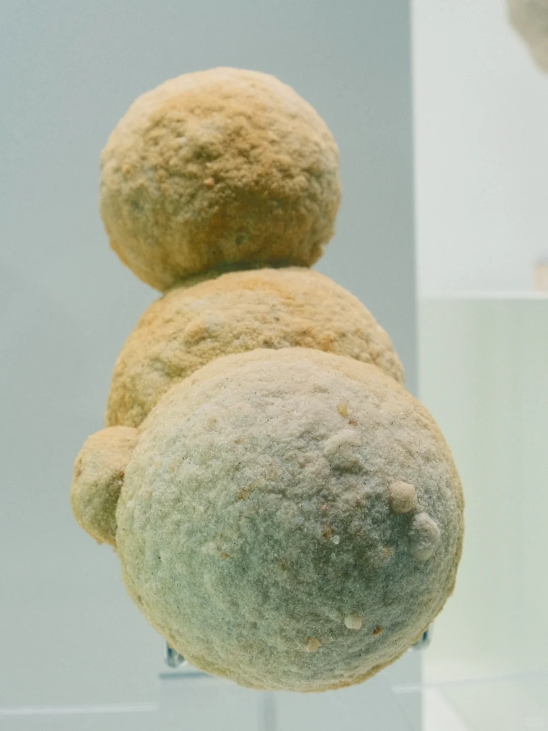南京牛啊！这个免费展=地质课+手工课+科学课