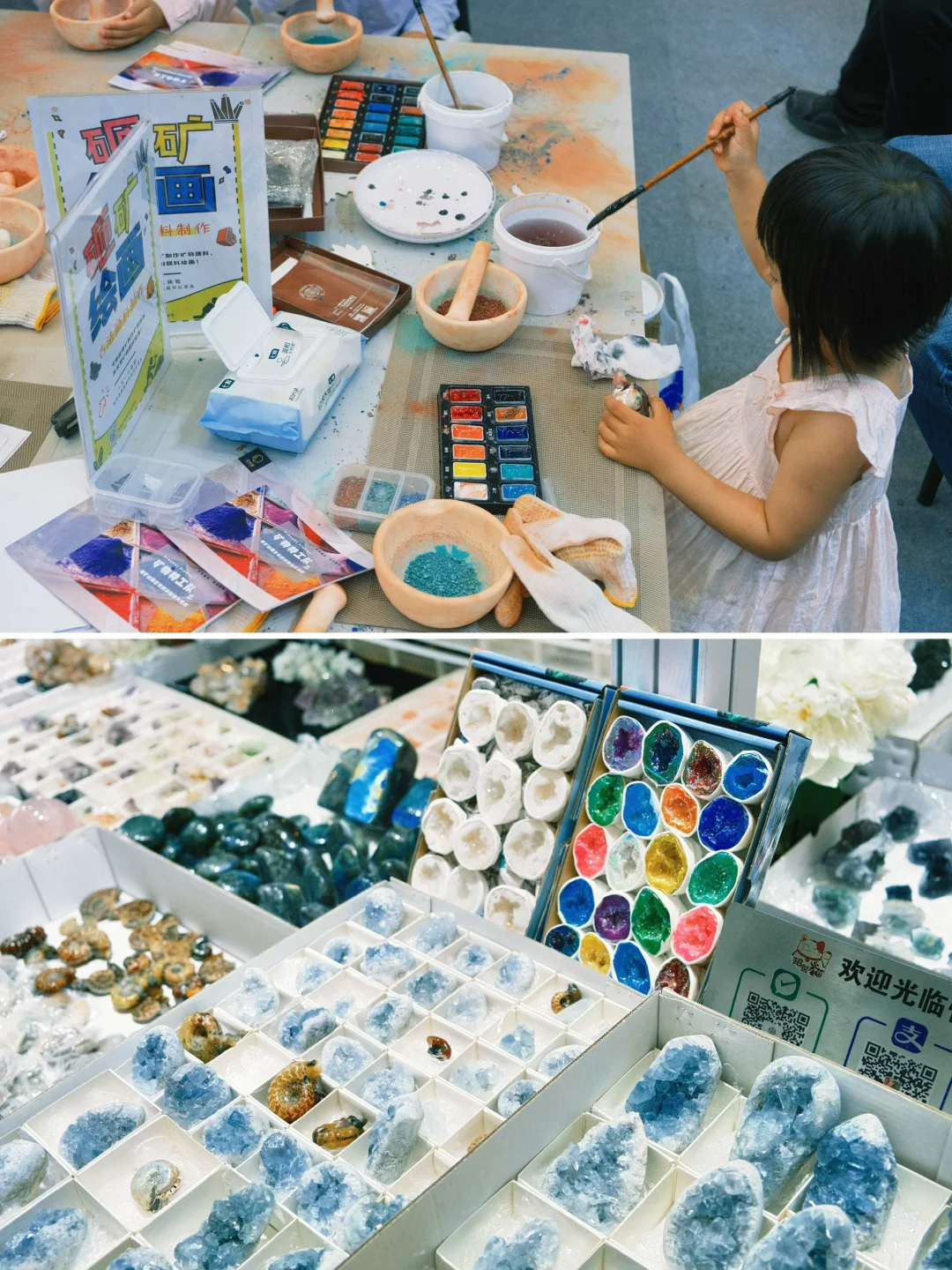 南京牛啊！这个免费展=地质课+手工课+科学课