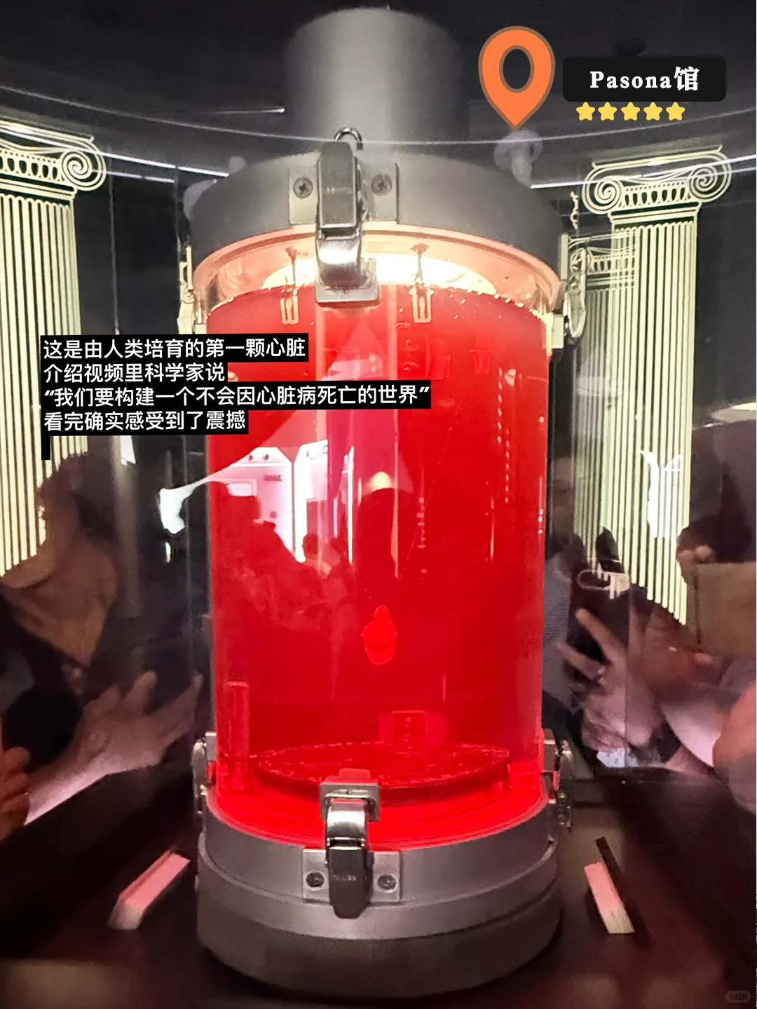 大阪世博会攻略 | 不踩雷⚠️看这一篇就够了！
