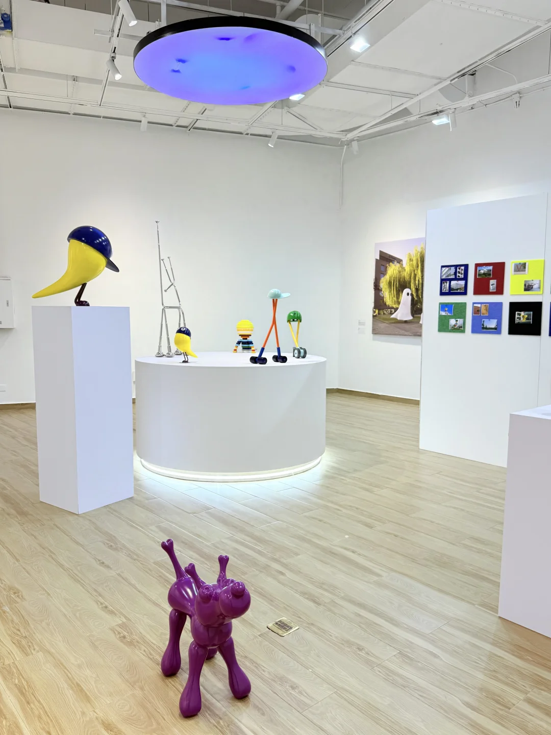 深圳免费看展~