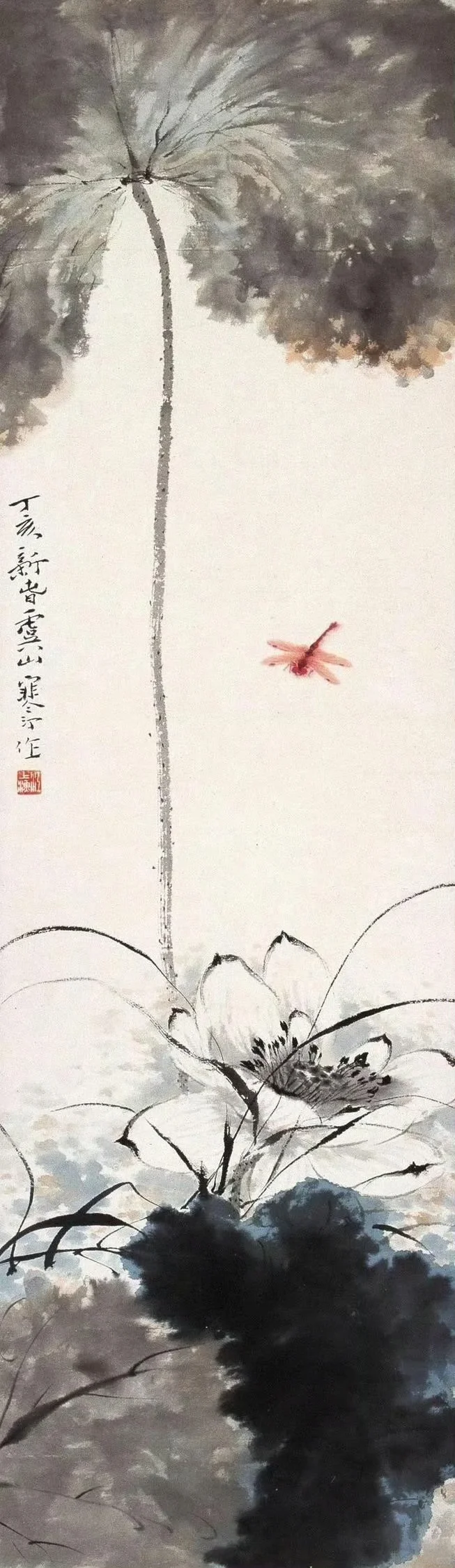 千姿百态 荷花
