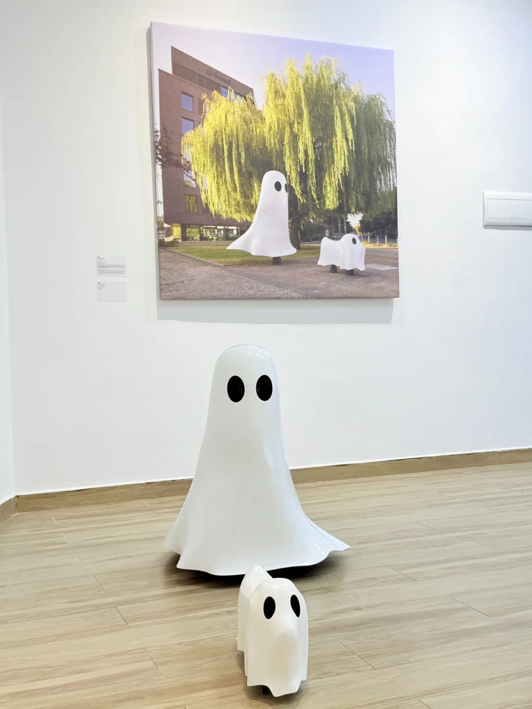 深圳免费看展~