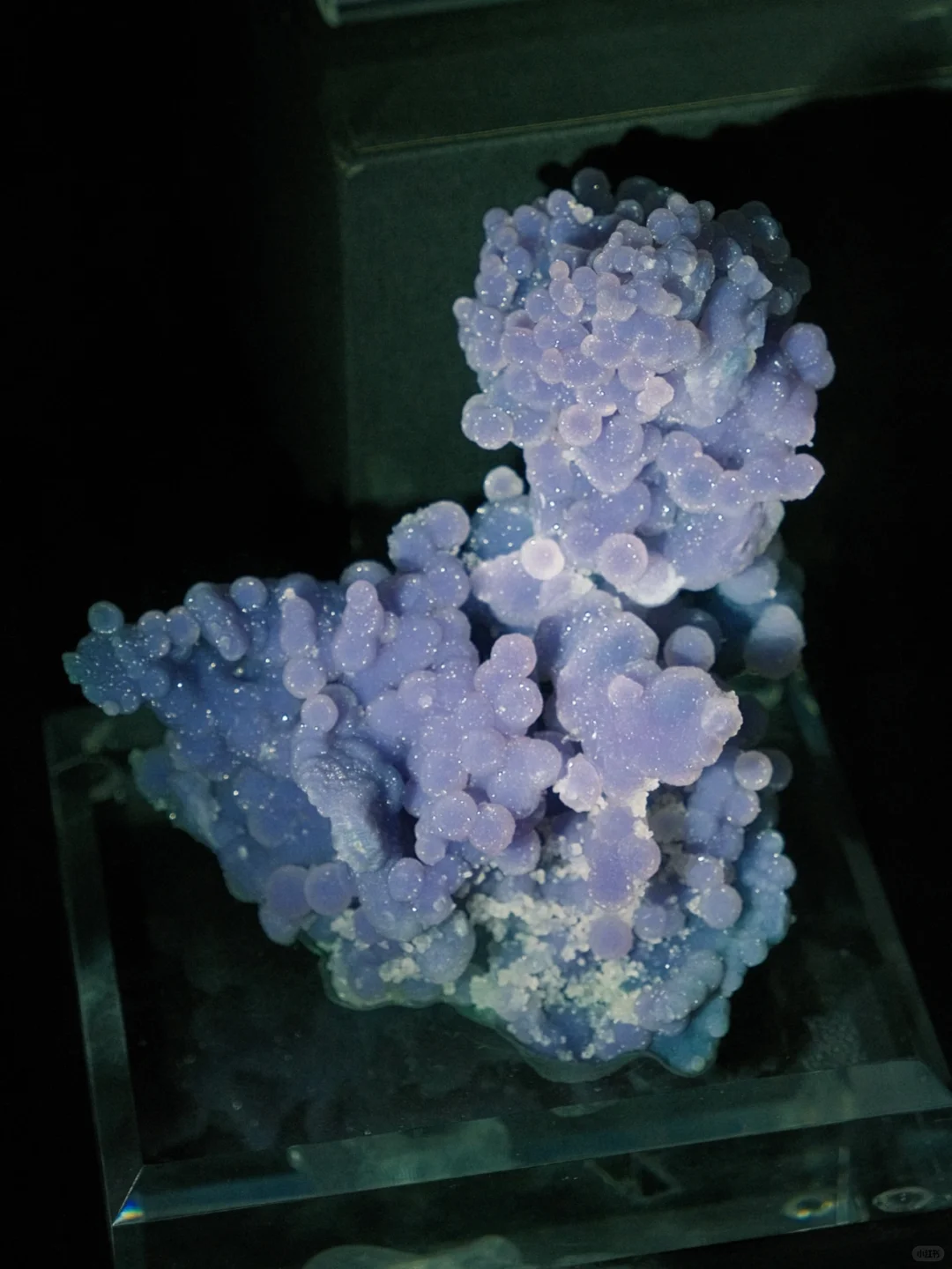 南京牛啊！这个免费展=地质课+手工课+科学课