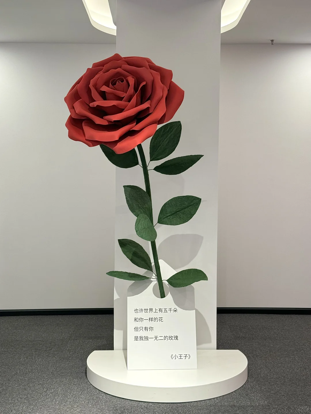 我宣布…这是深圳近期最震撼的新展?免费！