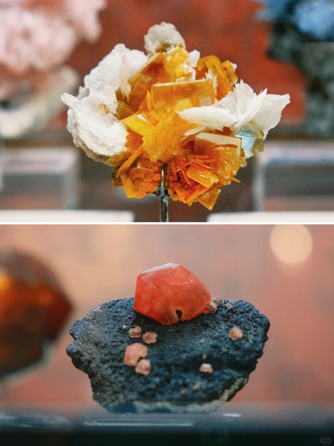 南京牛啊！这个免费展=地质课+手工课+科学课