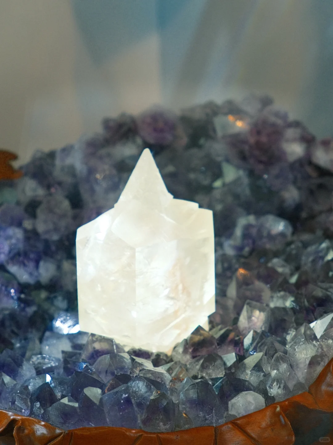南京牛啊！这个免费展=地质课+手工课+科学课