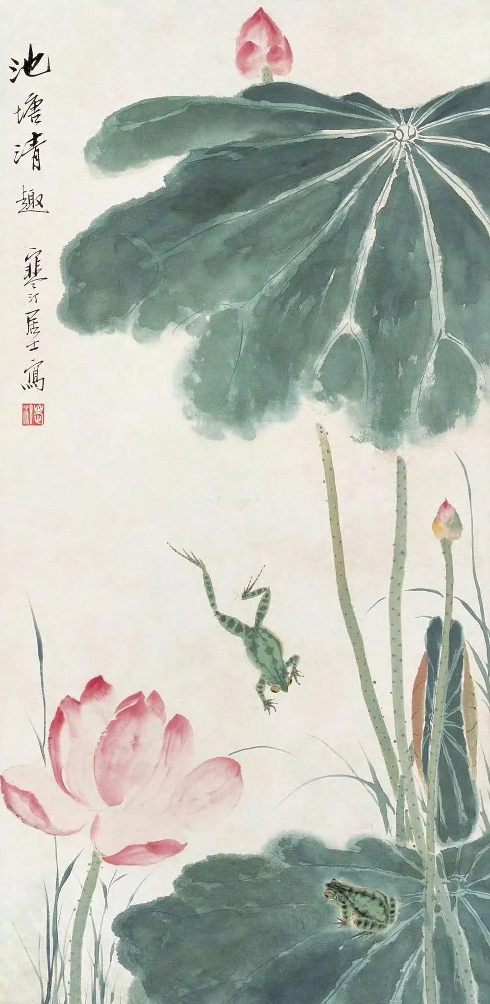 千姿百态 荷花