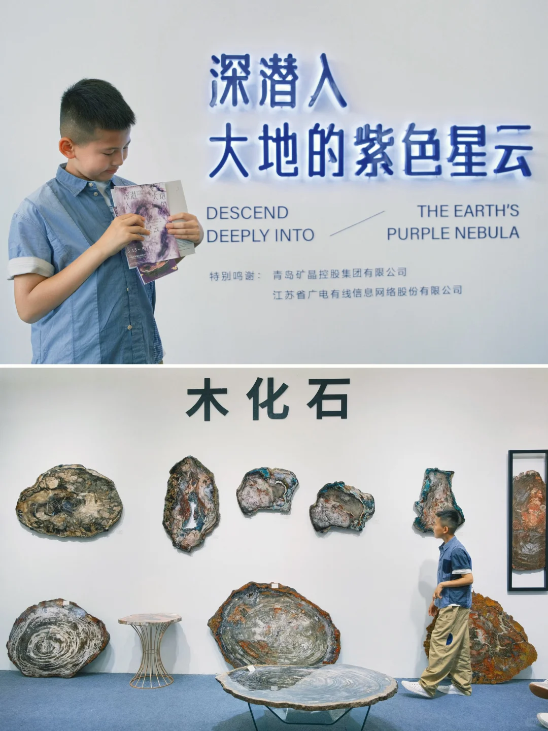 南京牛啊！这个免费展=地质课+手工课+科学课