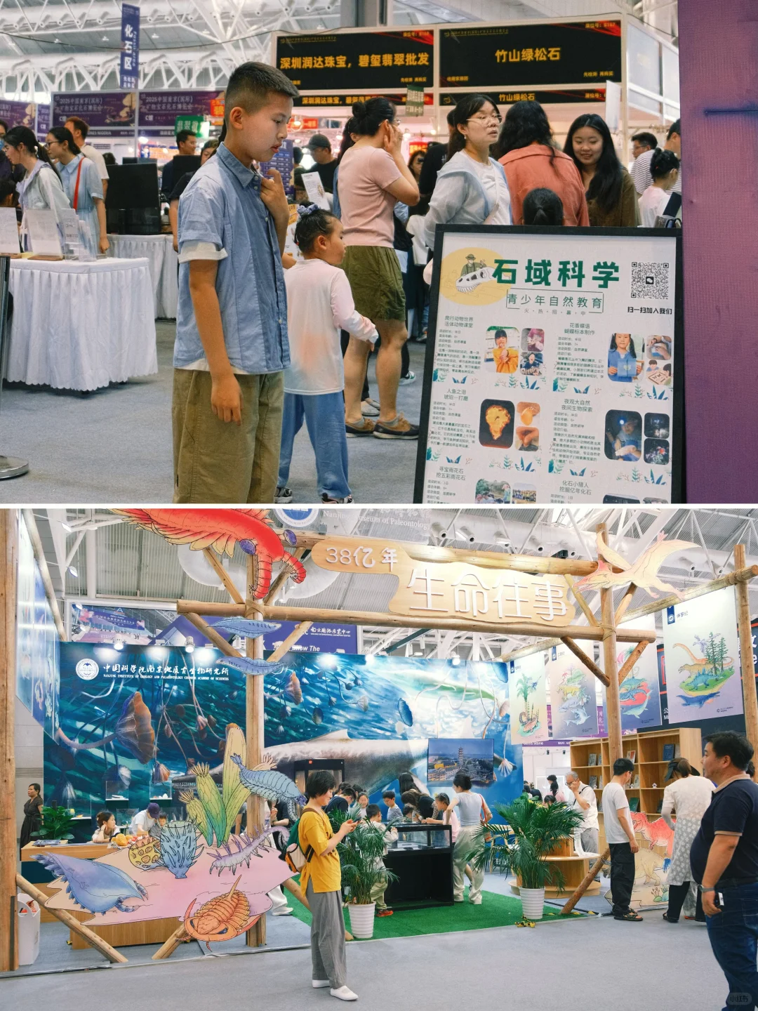 南京牛啊！这个免费展=地质课+手工课+科学课
