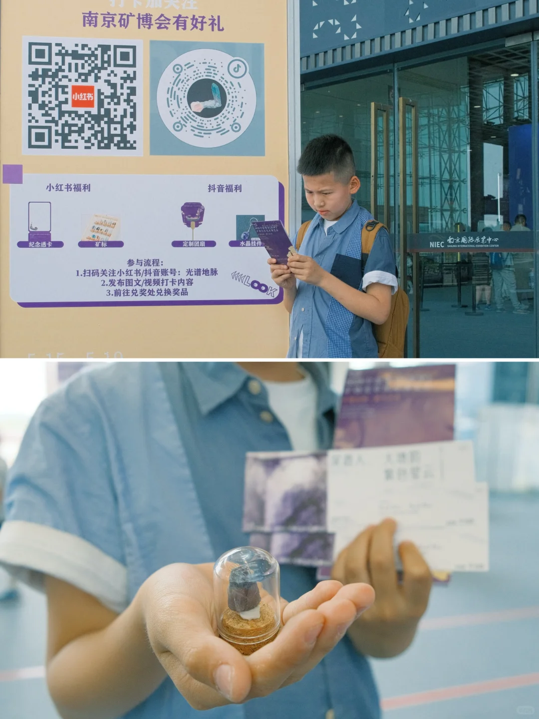 南京牛啊！这个免费展=地质课+手工课+科学课