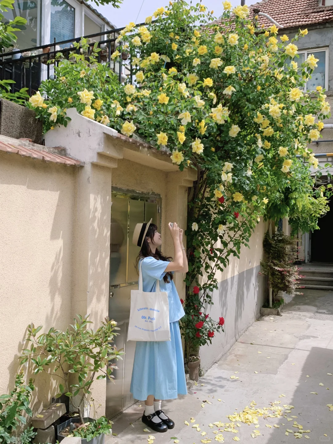 16套！青岛旅行穿搭！！