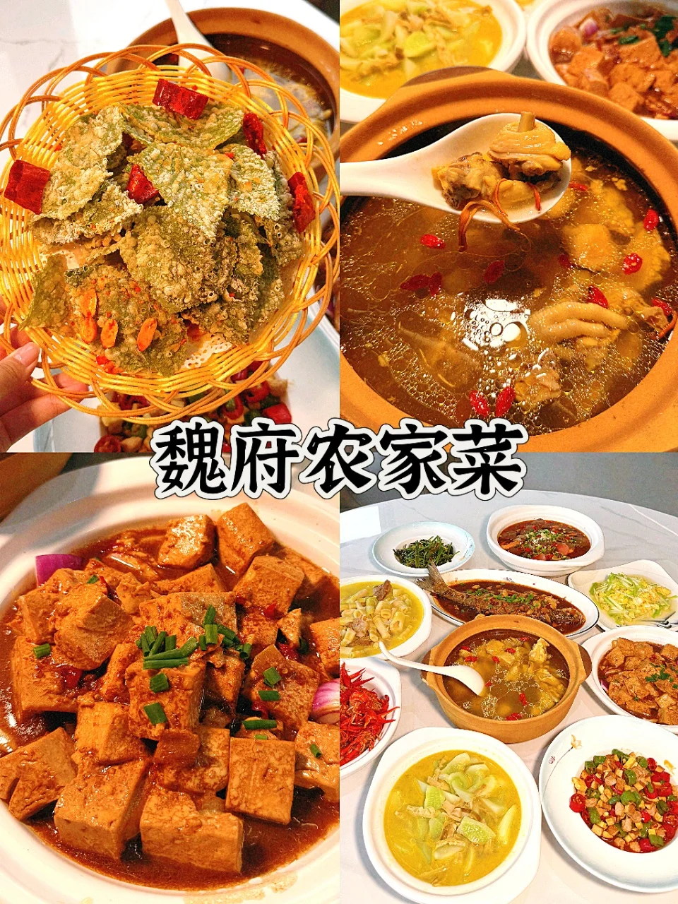 安吉漂流天花板‼终于体验到了✅
