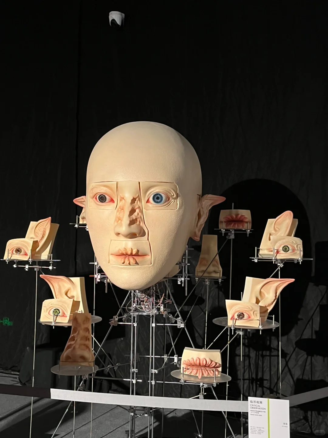 杭州新展?｜2025国美毕业展良渚校区来啦