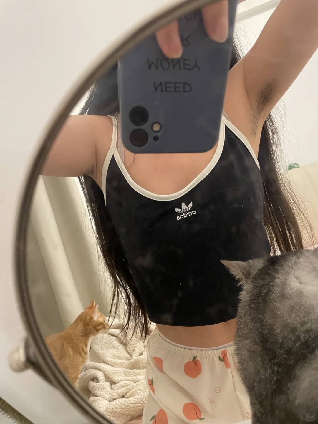 一拍照小猫咪就喜欢出镜