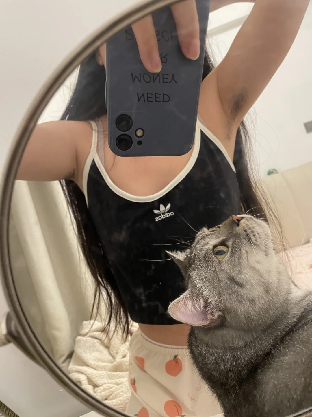 一拍照小猫咪就喜欢出镜
