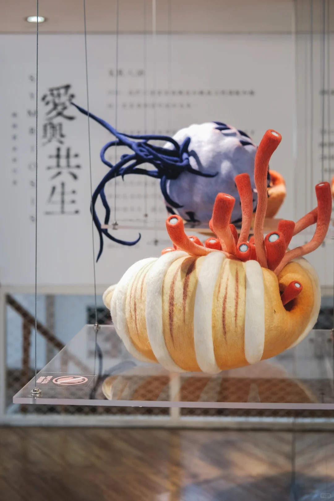 愛與共生｜SYMBIOSIS纖維藝術創作展
