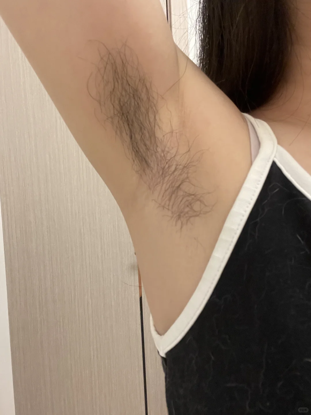 一拍照小猫咪就喜欢出镜