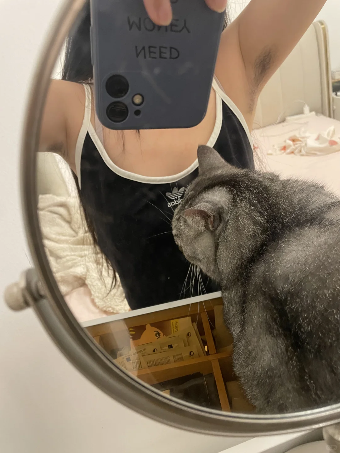 一拍照小猫咪就喜欢出镜