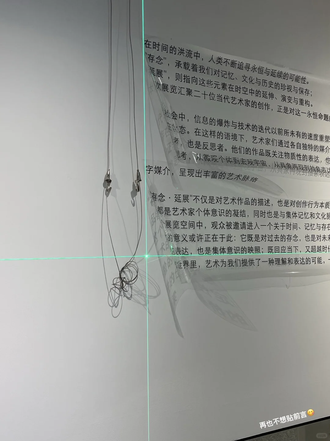 第一次当独立策展人