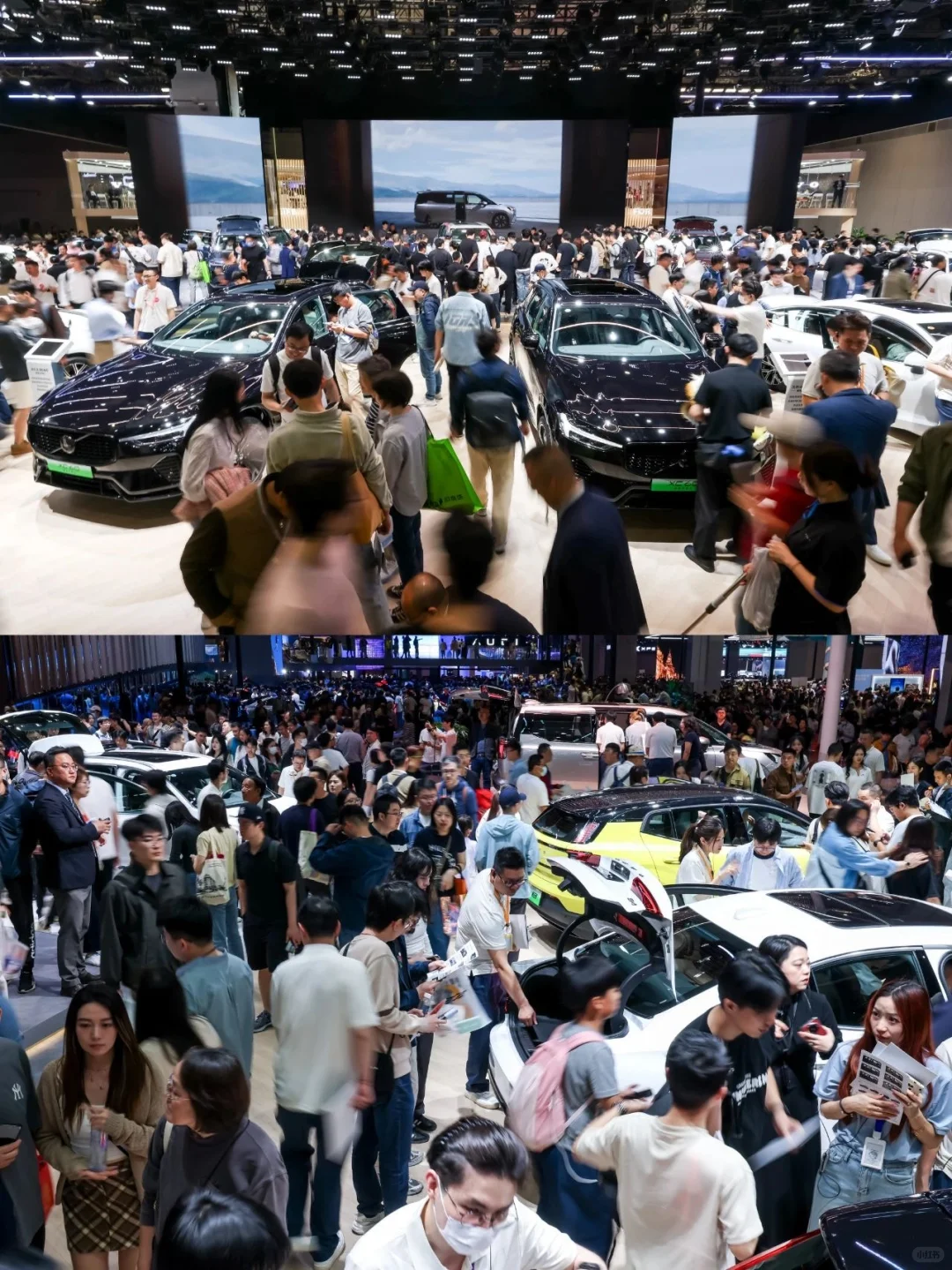 周末活动推荐 · 2025北京超盛大室内车展✨