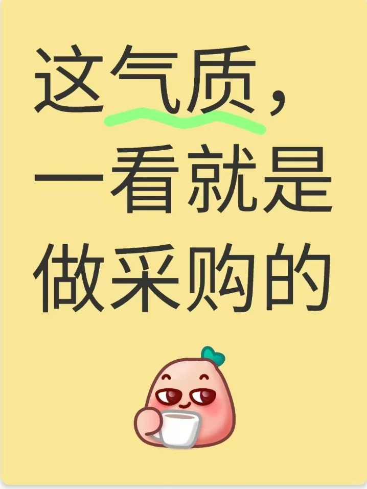 这气质，一看就是做采购的