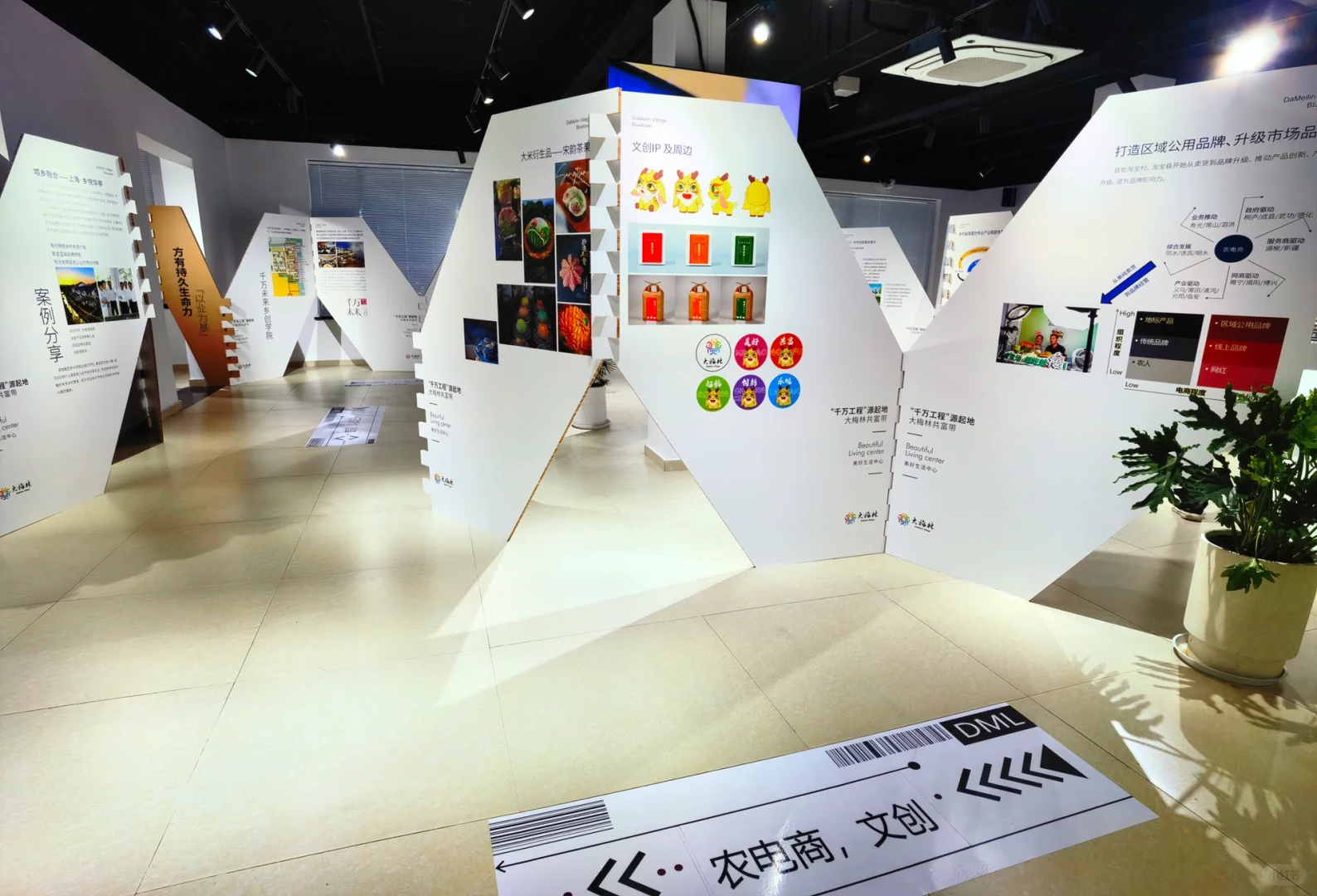 大梅林产业可持续发展“千万工程”特展